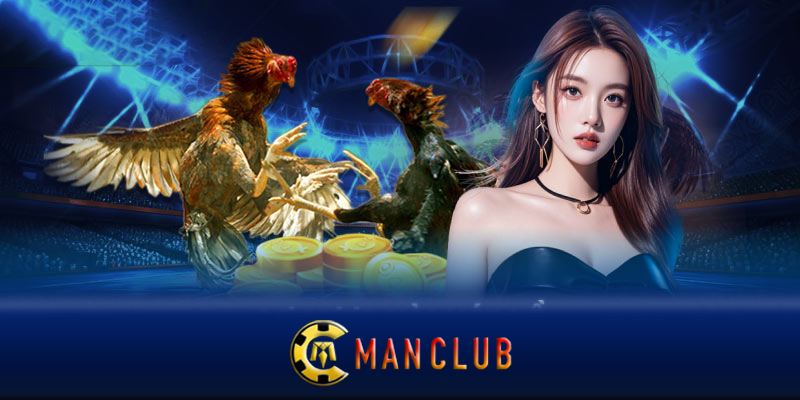 Kinh nghiệm từ những cao thủ đá gà Manclub